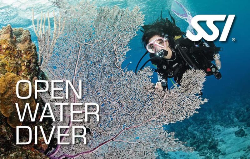 Haren: SSI Open Water Diver - The Experience from Reviews and What You Should Know