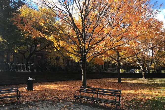 Harlem Walking Tour: Mount Morris Park Historic District w/ Lunch - What the Reviews Say