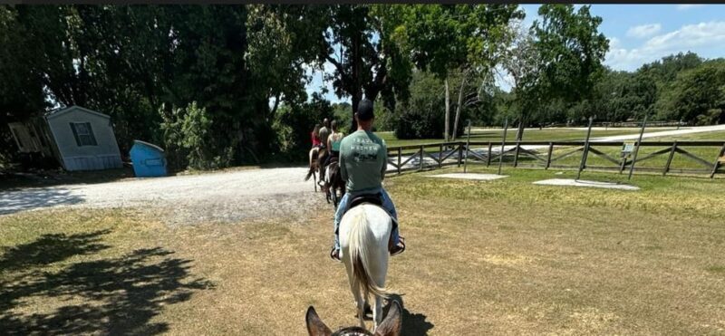 Harmony Horse Riding of Miami - Price & Value