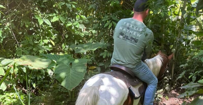 Harmony Horse Riding of Miami - FAQ