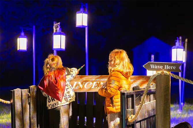 Harry Potter A Forbidden Forest Experience in Brisbane Australia - An In-Depth Look at What You Can Expect