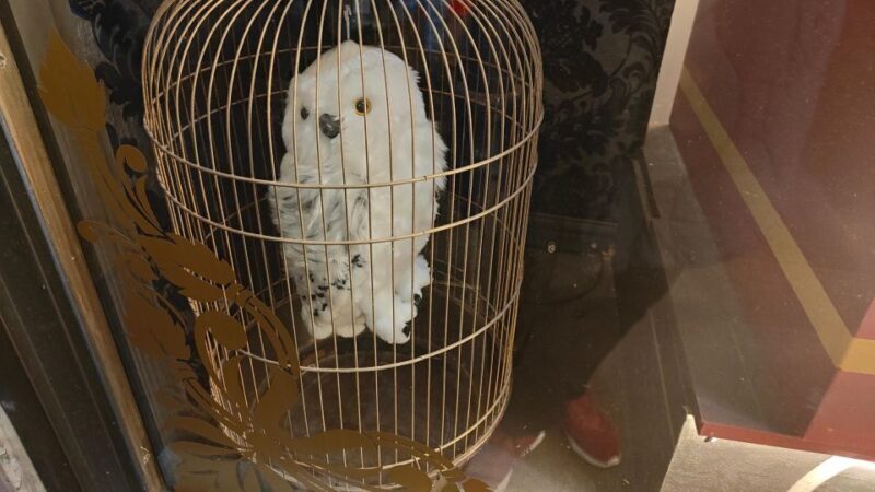 Harry Potter in London - Private Walking Tour - Real Experiences from Other Travelers