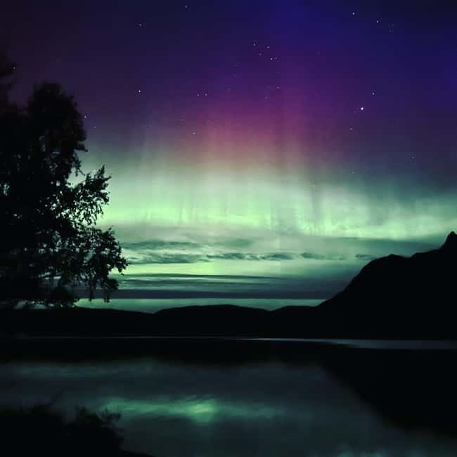 Harstad/Narvik: Northern Lights Tours with second day chance - A Closer Look at the Experience