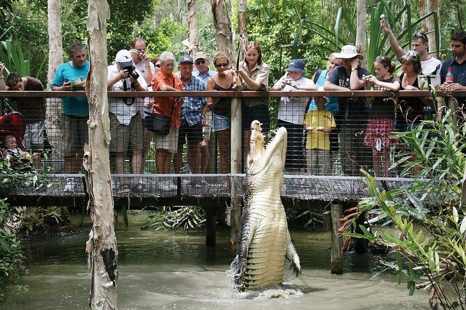 Hartleys Crocodile Adventures Half-Day Tour from Cairns - Key Points