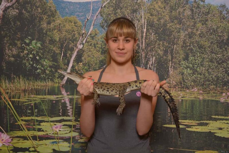 Hartley's Crocodile Adventures Park Entry - Practical Tips for Visiting Hartleys Crocodile Adventures