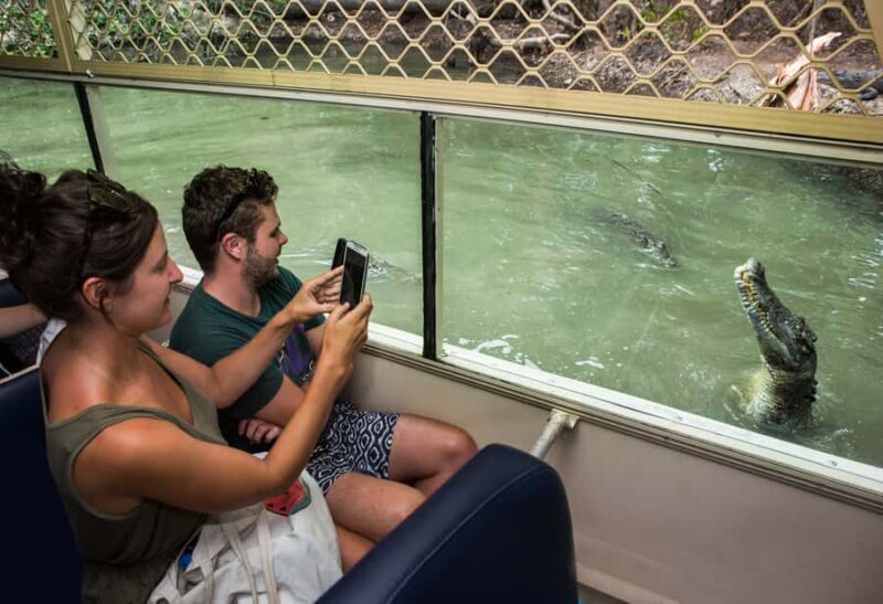 Hartley's Crocodile Adventures Park Entry - Who Will Love This Experience?