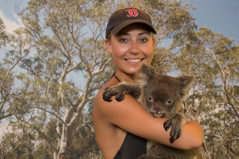 Hartley's Crocodile Adventures: Zootastic 5 + Entry Ticket - What to Expect at Hartleys Crocodile Adventures