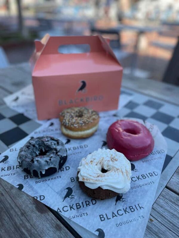 Harvard Square Donut & Coffee Adventure with Tastings - Real Guest Insights and Feedback