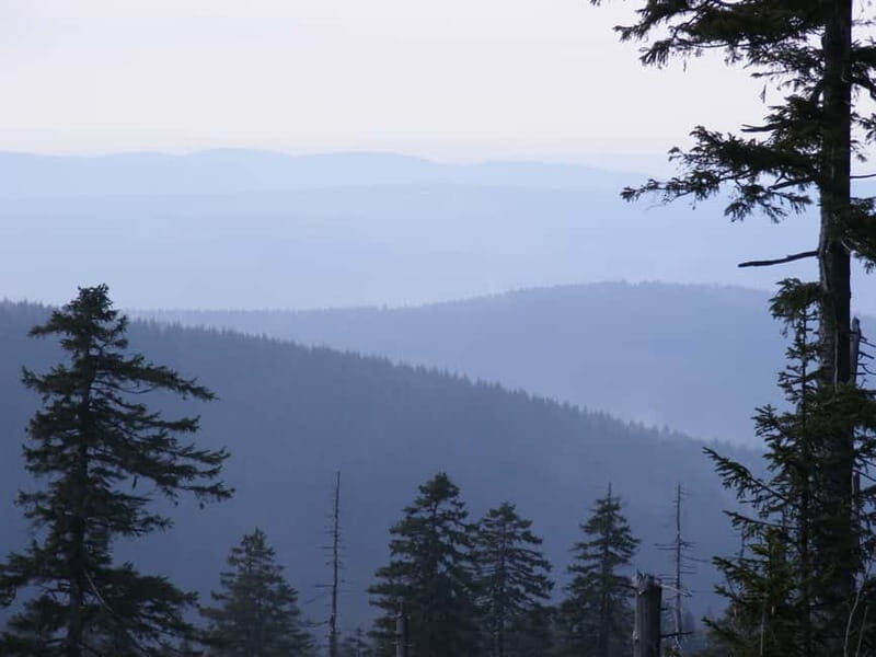 Harz Mountains Day Trip - Introduction