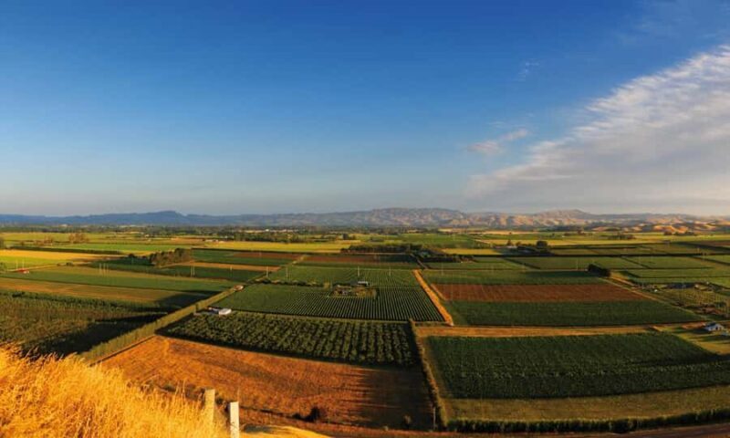 Hastings: Bridge Pa/Gimblett Winery Tour on a Regular Bike - Key Points