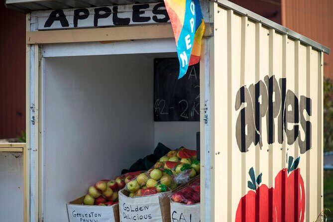 Hastings Caves, Tahune Airwalk and the Huon Tasting Trail - Starting Point: Huonville and the Scenic Drive