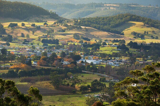 Hastings Caves, Tahune Airwalk and the Huon Tasting Trail - The Tasting Ending: Apples, Cider, and Pie