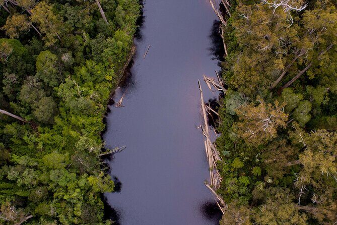 Hastings Caves, Tahune Airwalk and the Huon Tasting Trail - Authentic Experiences and Insights