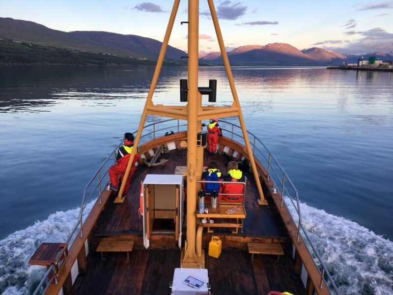 Hauganes: Whale Watching North Iceland - Key Points