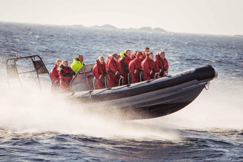 Haugesund: RIB Safari to the island communities - Practical Tips for Your RIB Safari