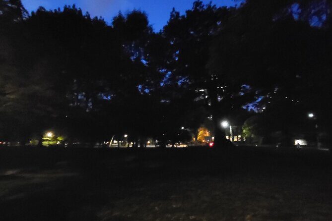 Haunt Hunt Walking Tour in Toronto - The Itinerary in Detail