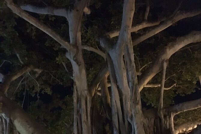 Haunted History of Fort Myers Walking Tour - The Sum Up