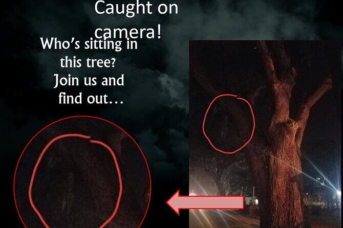 Haunted Saint Augustine A Paranormal Investigation - Final Thoughts: Is This Tour Right for You?