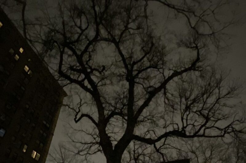 Haunted Village of New York City walking tour - Who Will Enjoy This Tour?