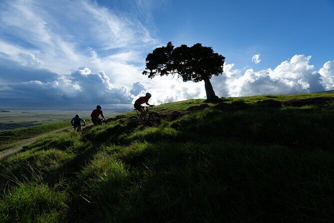Hawai'i E-Mountain Bike Ride - Key Points