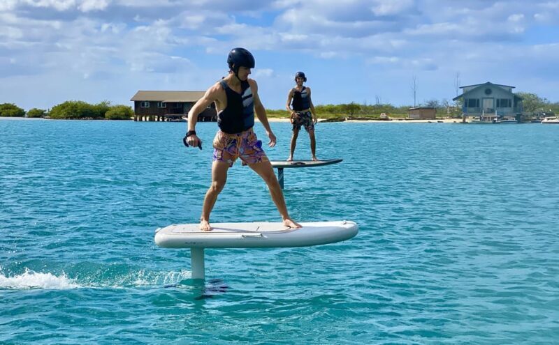 Hawaii: Electric Hydrofoil Surfing Group Lesson - Is This Experience Right for You?