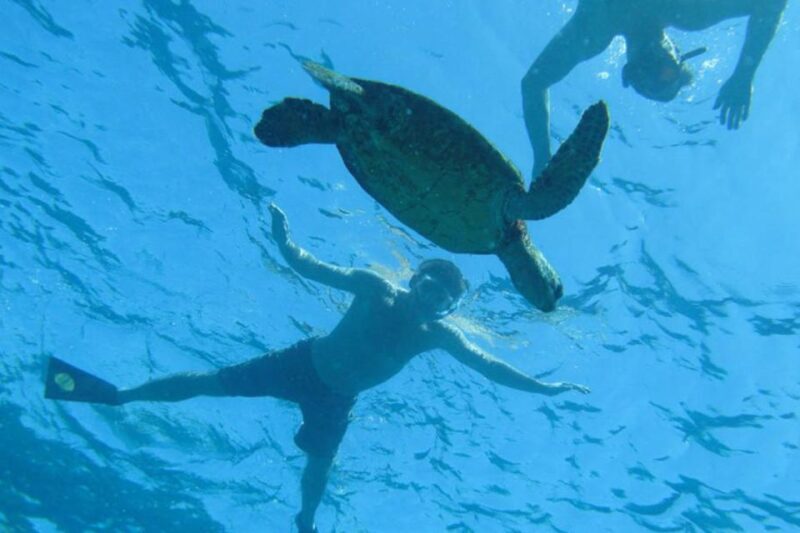 Hawaii: Pu'uhonua O Honaunau & Kealakekua Bay Snorkel Tour - Who Will Love This Tour?