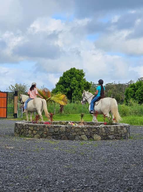 Hawaii: Small Group Rainforest Trail Ride - Key Points