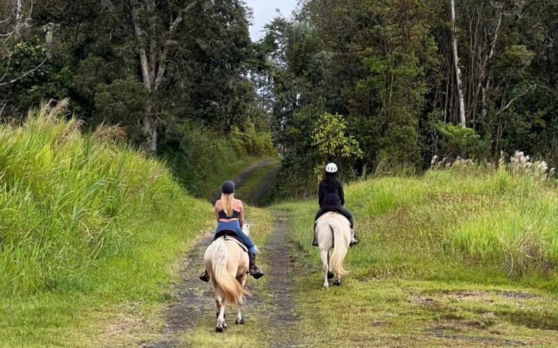 Hawaii: Small Group Rainforest Trail Ride - The Experience: What You’ll Actually Do