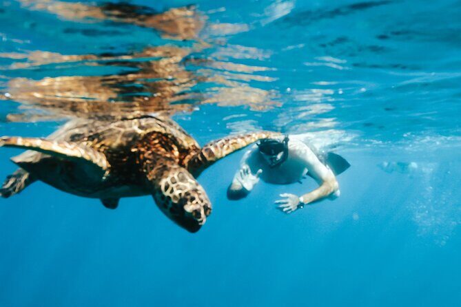 Hawaii Snorkeling with Turtles Boat Tour in Waikiki - Final Thoughts: Who Should Consider This Tour?