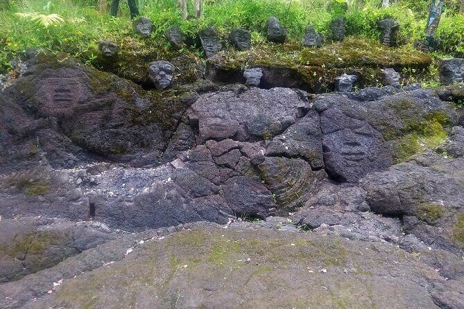 Hawaiian Ohia Tea and Tikis - Key Points