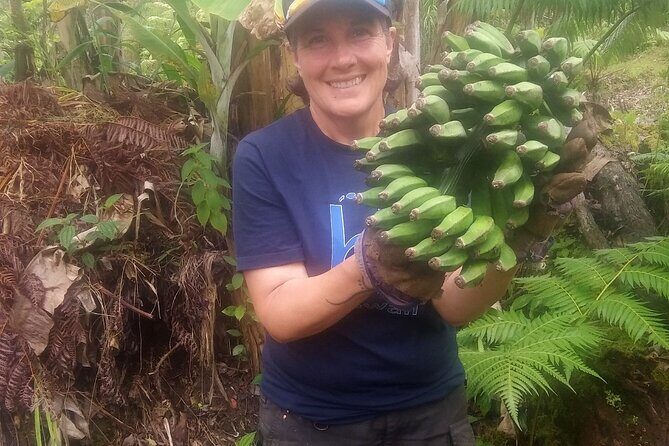 Hawaiian Ohia Tea and Tikis - Final Thoughts: Who Should Consider This Tour?