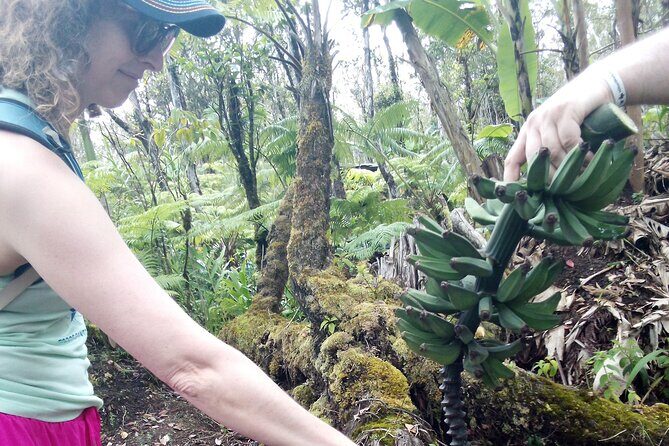 Hawaiian Rainforest Banana Cultivation Experience - Is This Experience Worth Your Time?