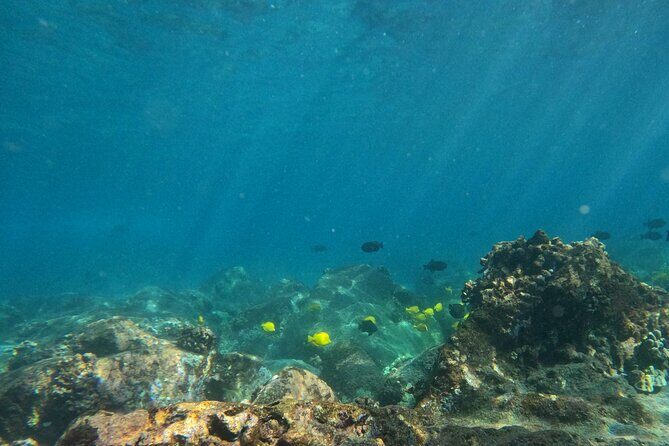 Hawaiian Sail and Snorkel in Kailua-Kona, Hawaii - Who Will Love This Tour?