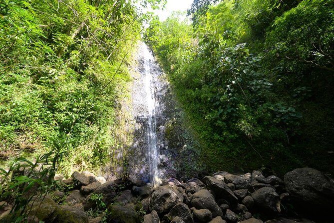 Hawaiian Waterfall Hike - The Experience Breakdown: What to Expect on the Hawaiian Waterfall Hike