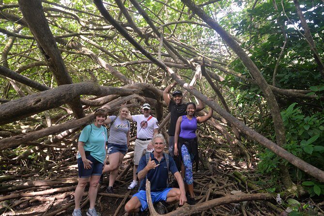 Hawaiian Waterfall Hike - The Real-World Perspective: What Do Travelers Say?