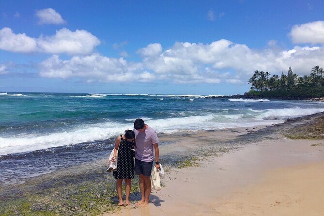 Hawaii's Best Private Build-Your-Tour Charter Service - The Itinerary: Flexibility and Highlights