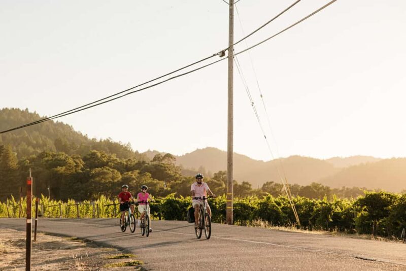 Healdsburg: Guided Electric Bike Wine Tour with Winery Stops - Healdsburg: Guided Electric Bike Wine Tour with Winery Stops — A Practical Look