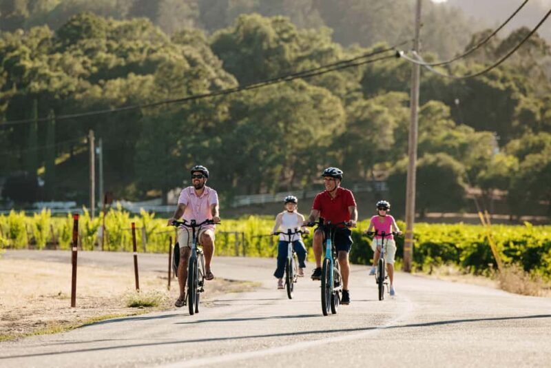Healdsburg: Guided Electric Bike Wine Tour with Winery Stops - Final Thoughts