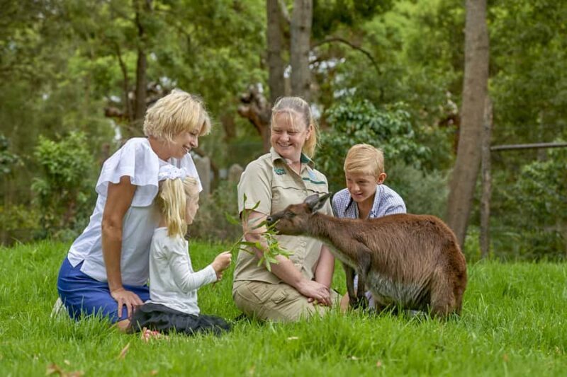 Healesville Sanctuary: General Admission Ticket - The Value of a Healesville Sanctuary Visit