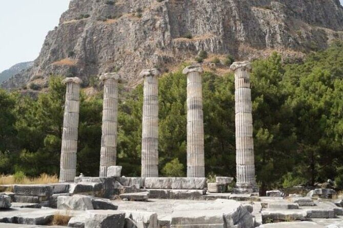 Heart of Aegean: Private Priene - Miletus - Didyma Tour - Exploring the Ancient Treasures of Priene, Miletus, and Didyma