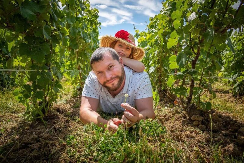 Heart of the Valley: Tasting of 4 Rare and Atypical Champagnes - The Experience: From Arrival to Tasting