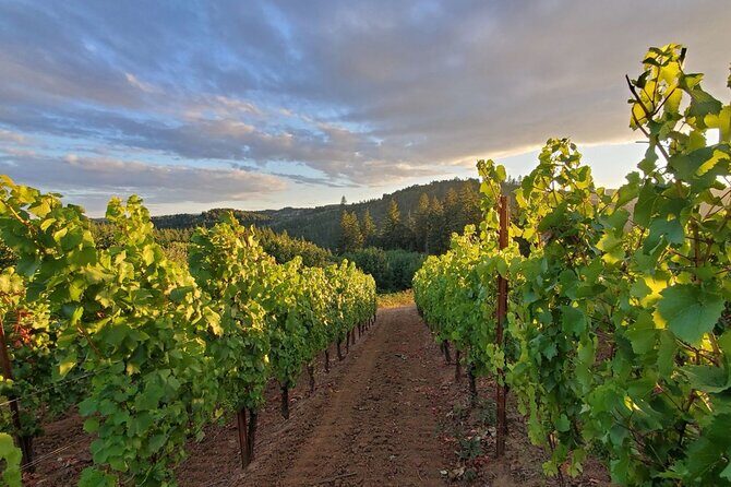 Heart of Willamette Winery Pass 2024: Wine Tastings and Discounts - Breaking Down the Itinerary