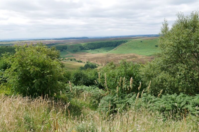 Heartbeat TV Locations Tour of Yorkshire - Final Thoughts: Is This Tour Right for You?