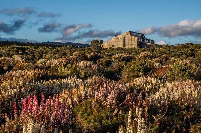 Heartlands Odyssey Comfort Tour 4 Days - An Honest Look at the Heartlands Odyssey 4-Day Tour