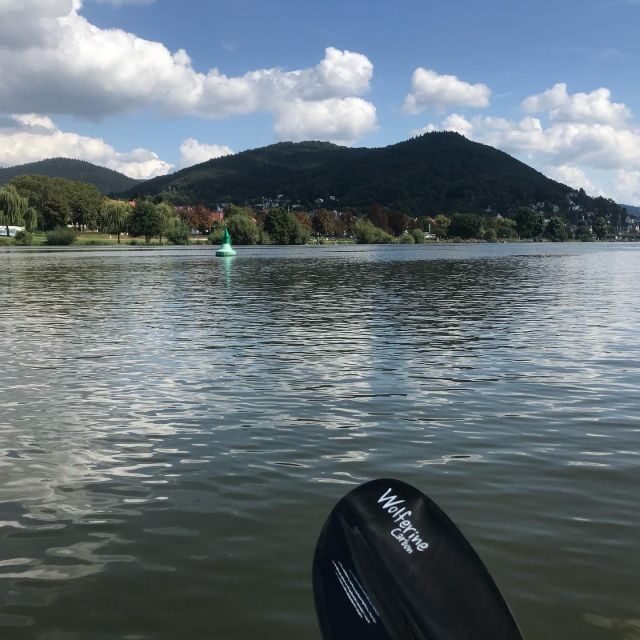 Heidelberg: 2-Hour Kayak Tour - Final Thoughts