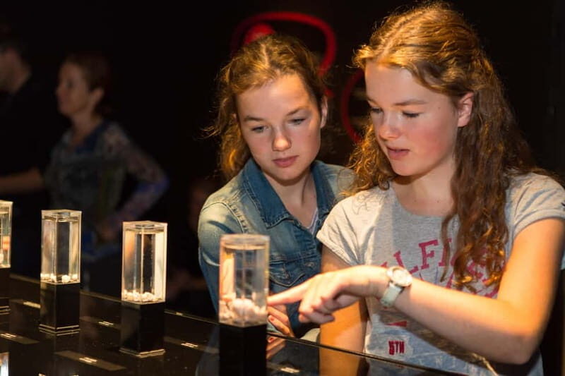 Heidelberg: BODY WORLDS Museum Entry Ticket - The Experience in Detail