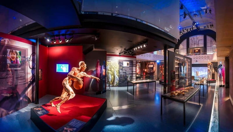Heidelberg: BODY WORLDS Museum Entry Ticket - Who Should Visit?