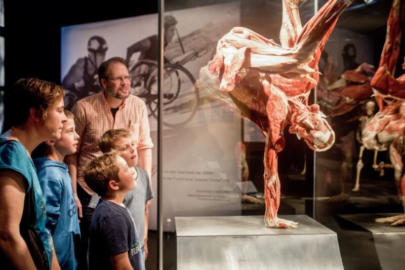 Heidelberg: BODY WORLDS Museum Entry Ticket - Final Impressions