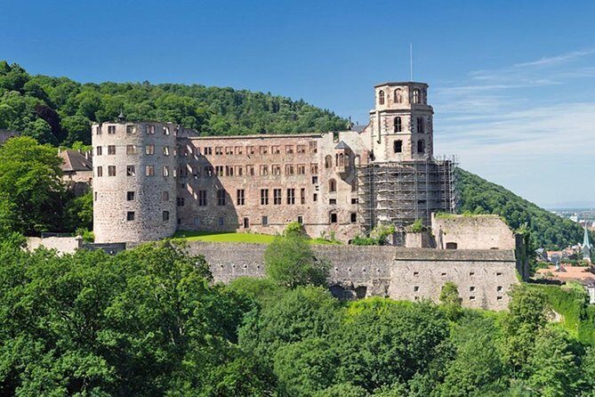Heidelberg Castle and Old Town Tour from Frankfurt - The Overall Experience: What Travelers Say