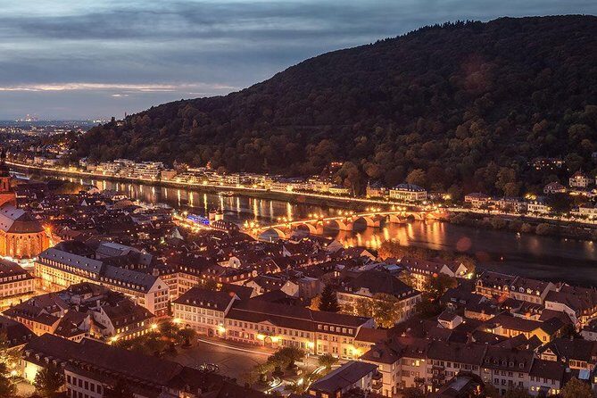 Heidelberg Castle and Old Town Tour from Frankfurt - Who Should Consider This Tour?